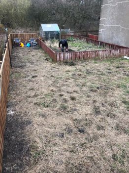 Allotment Development April 2023 5